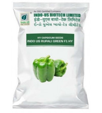 Capsicum F1 Indo Us Rupali Green 10 grams